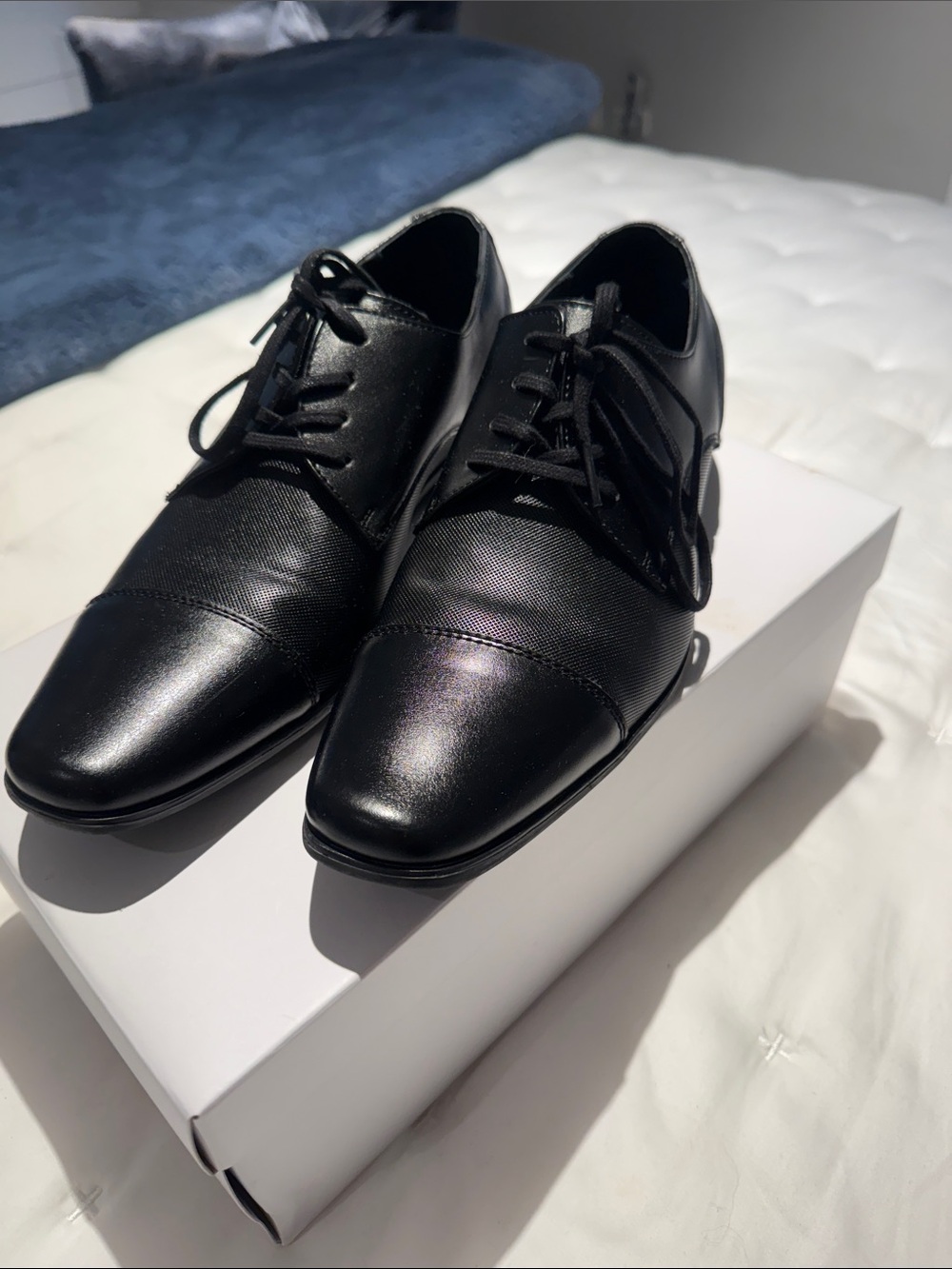 Calvin Klein Brodie Burnished Lace-Up Oxfords